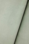 Heavy Weight Cotton Velvet in Aloe