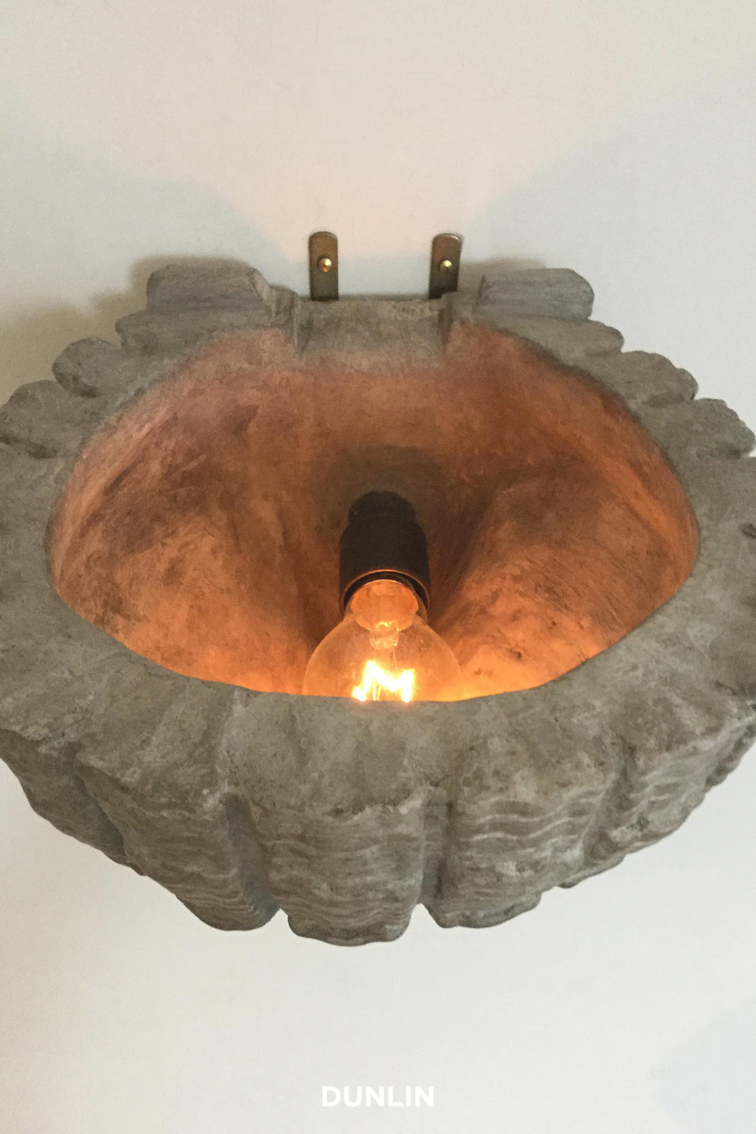 Scallop Shell Uplighter by Rose Uniacke