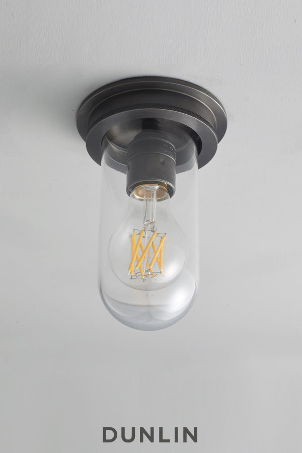 Edison flush deals mount light