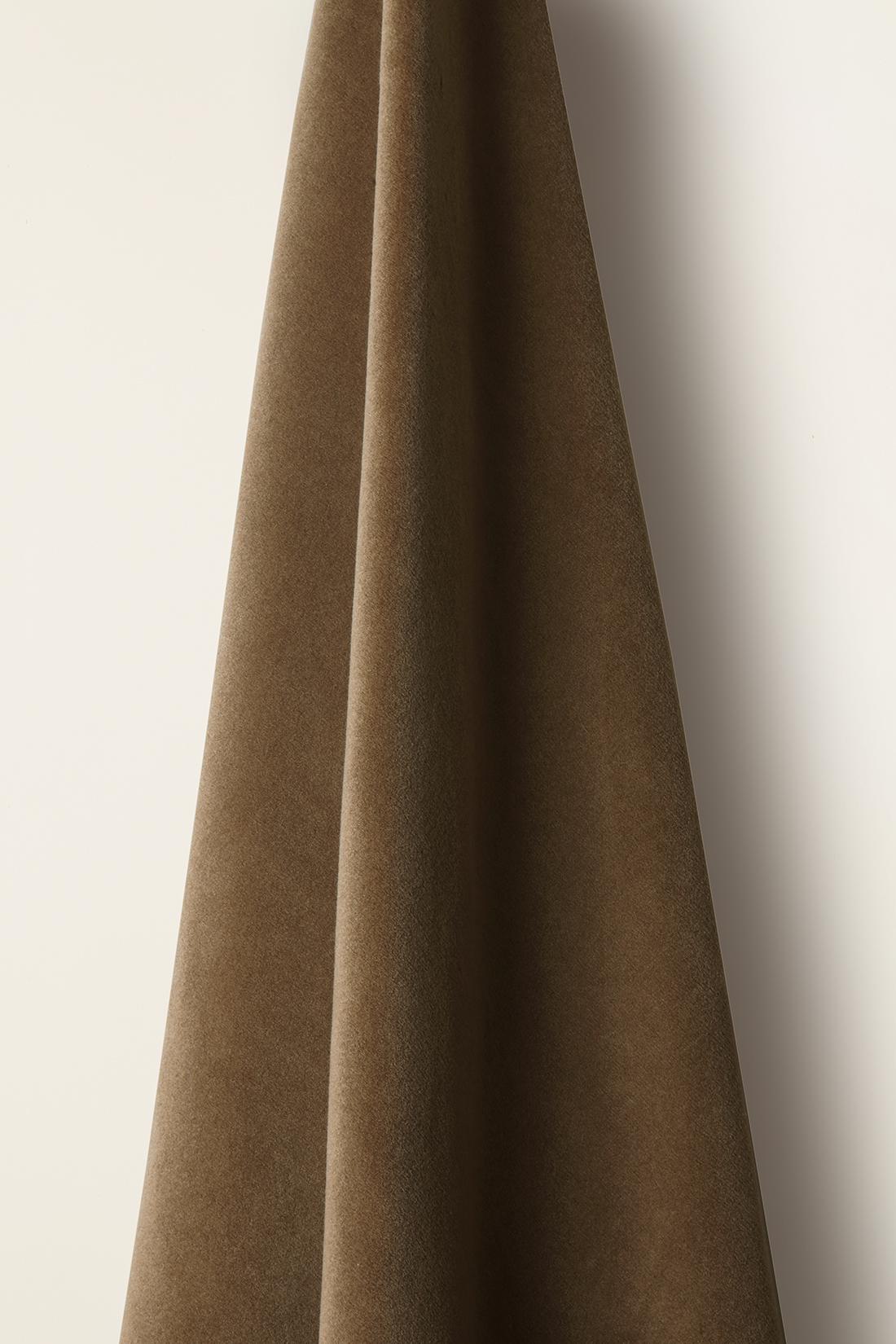 Wool Velvet in Fledgling