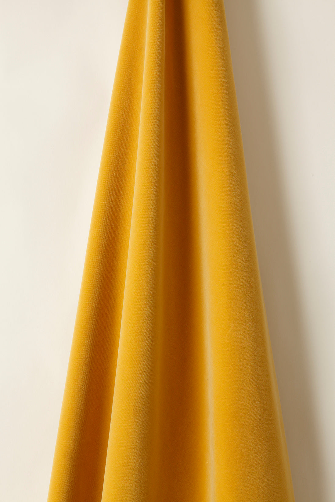 Cotton Velvet in Butternut