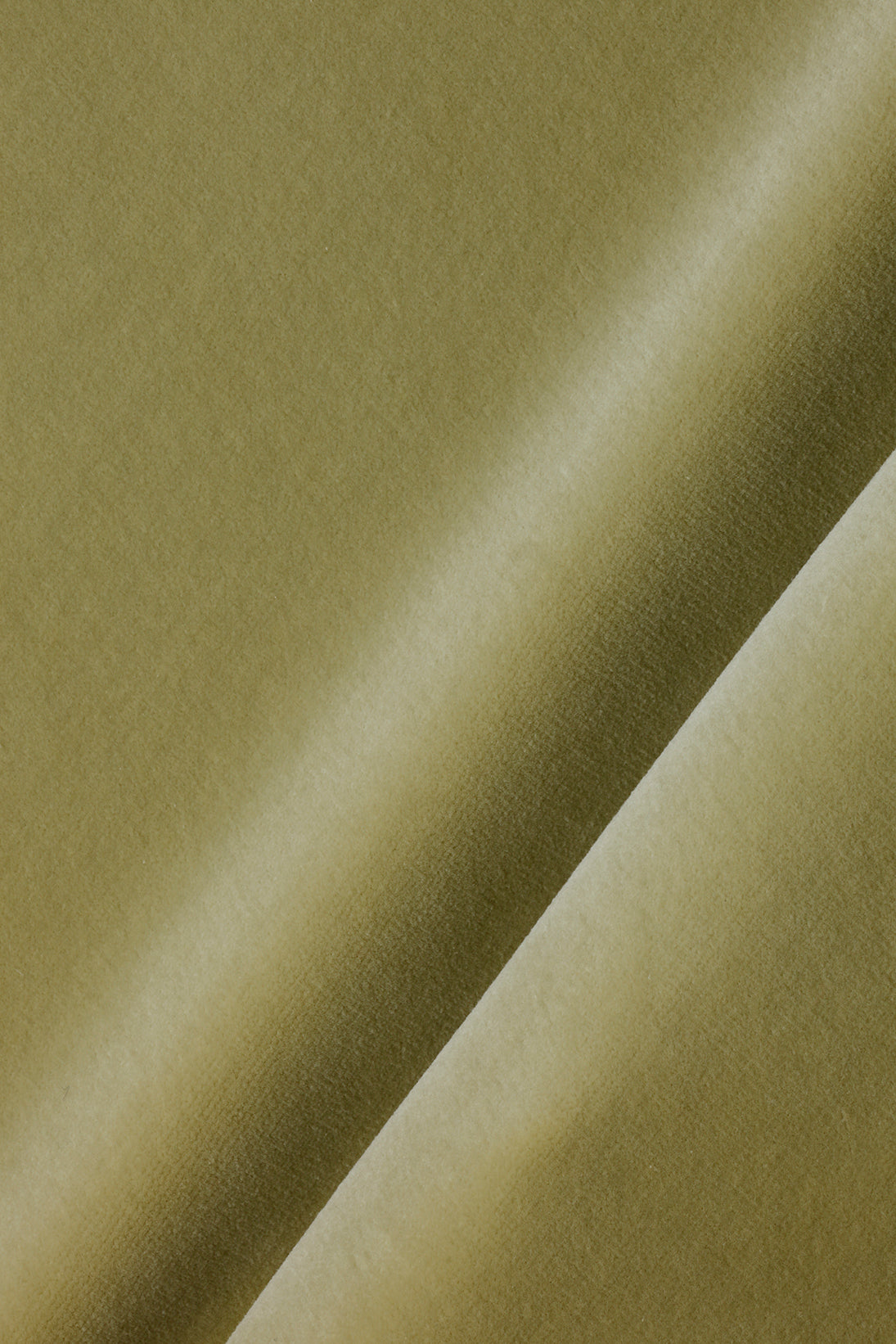 Cotton Velvet in Lotus
