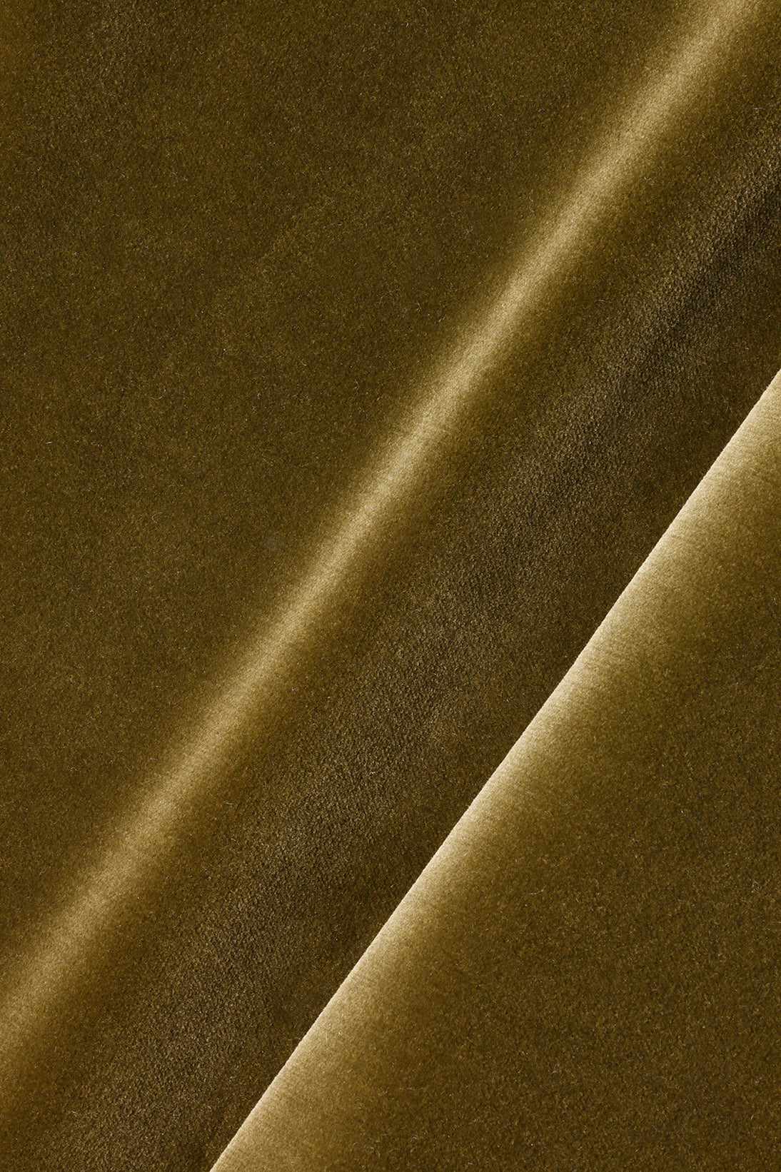 Cotton Velvet in Moss