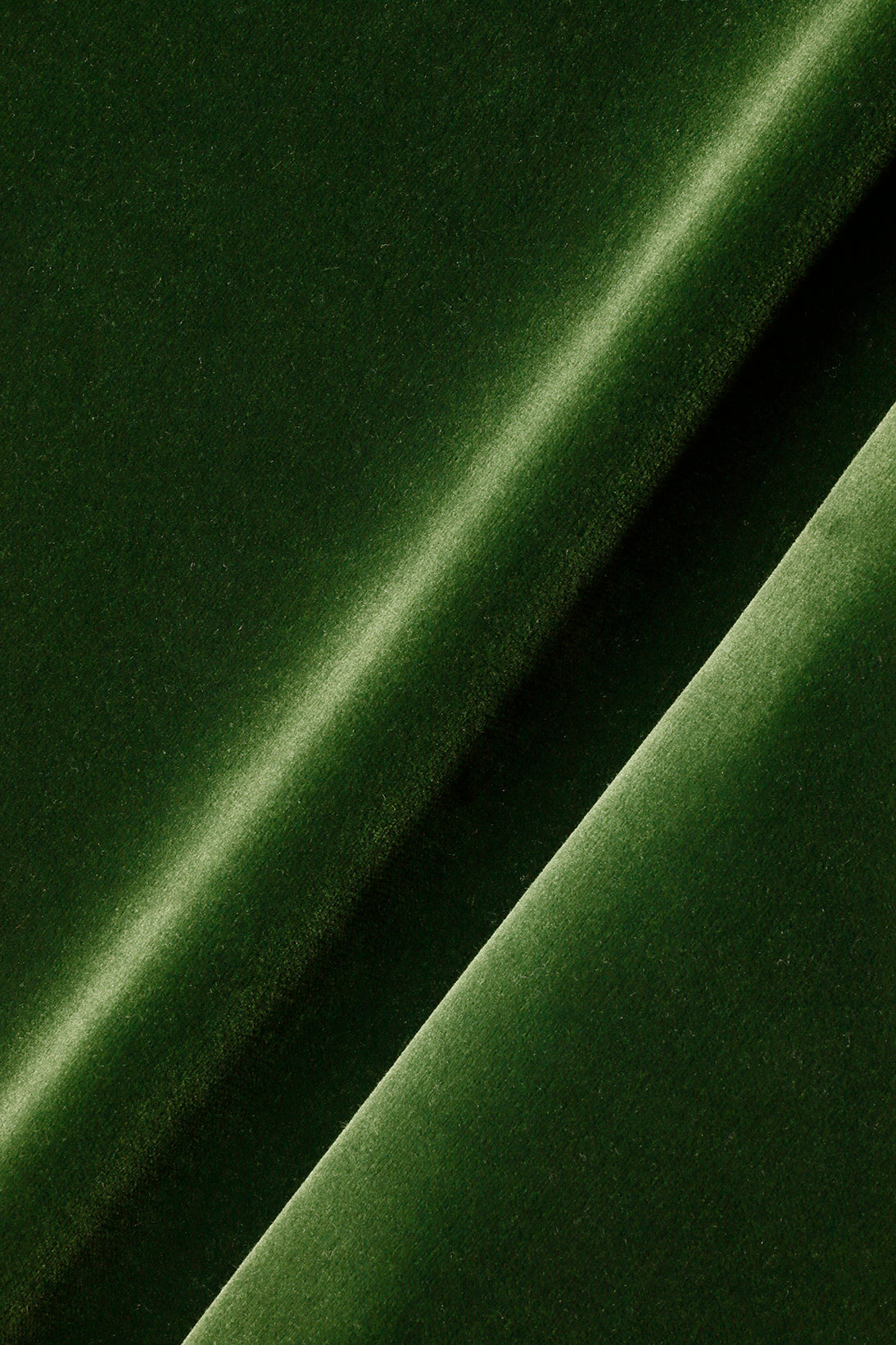 Cotton Velvet in Spruce