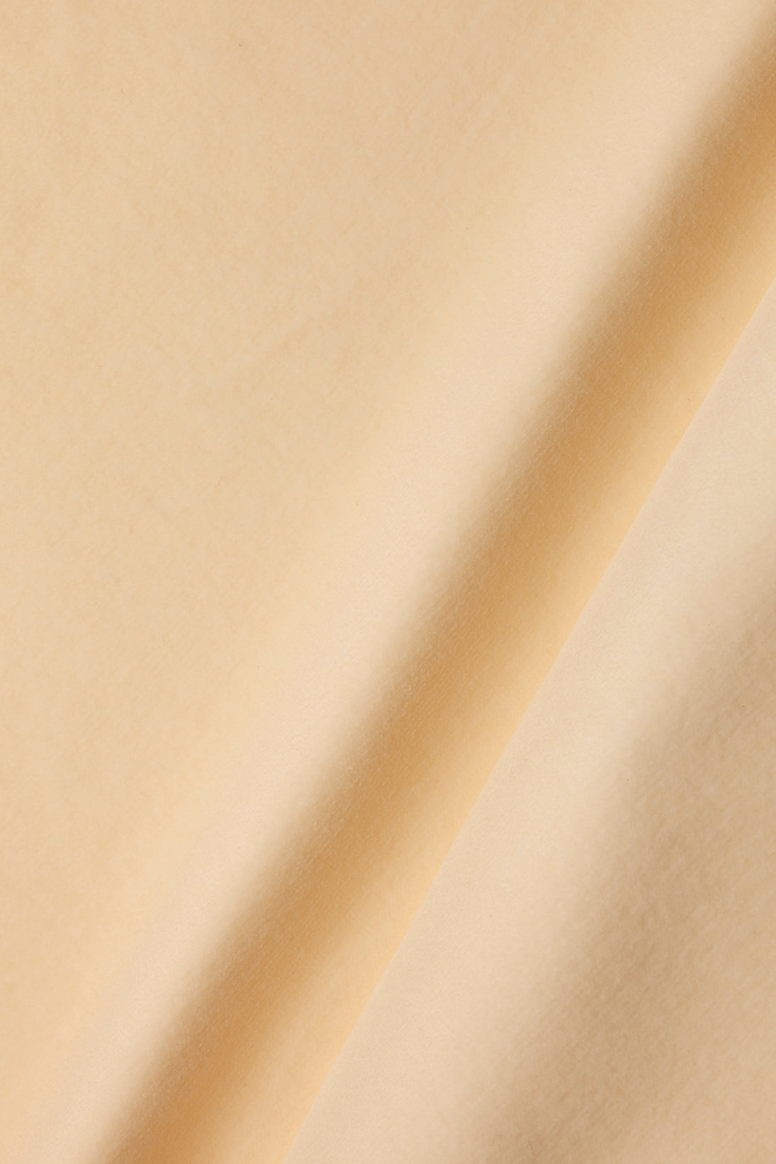 Cotton Velvet in Tallow