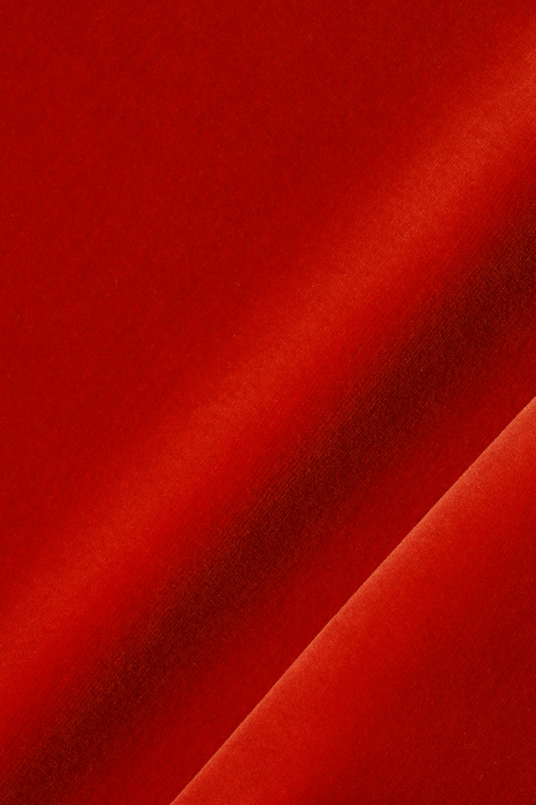 Cotton Velvet in Hip