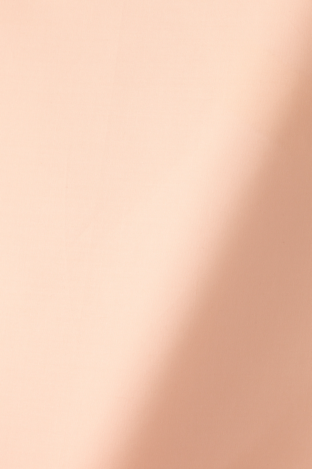 Cotton Sheeting in Rose