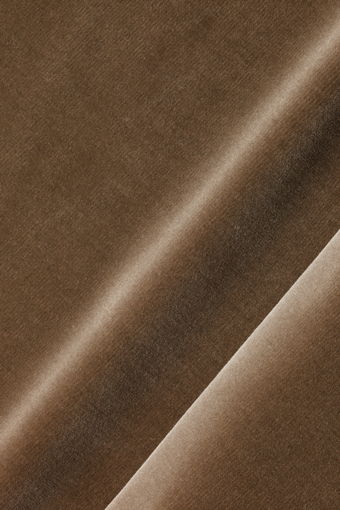 Cotton Velvet in Bear