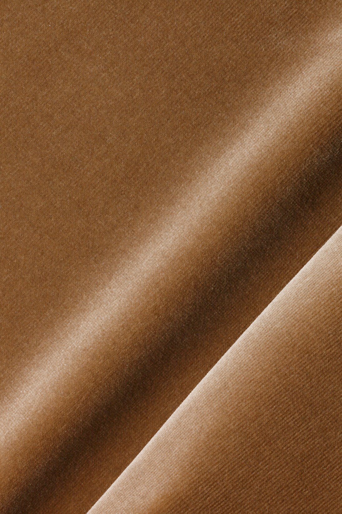 Cotton Velvet in Hazel