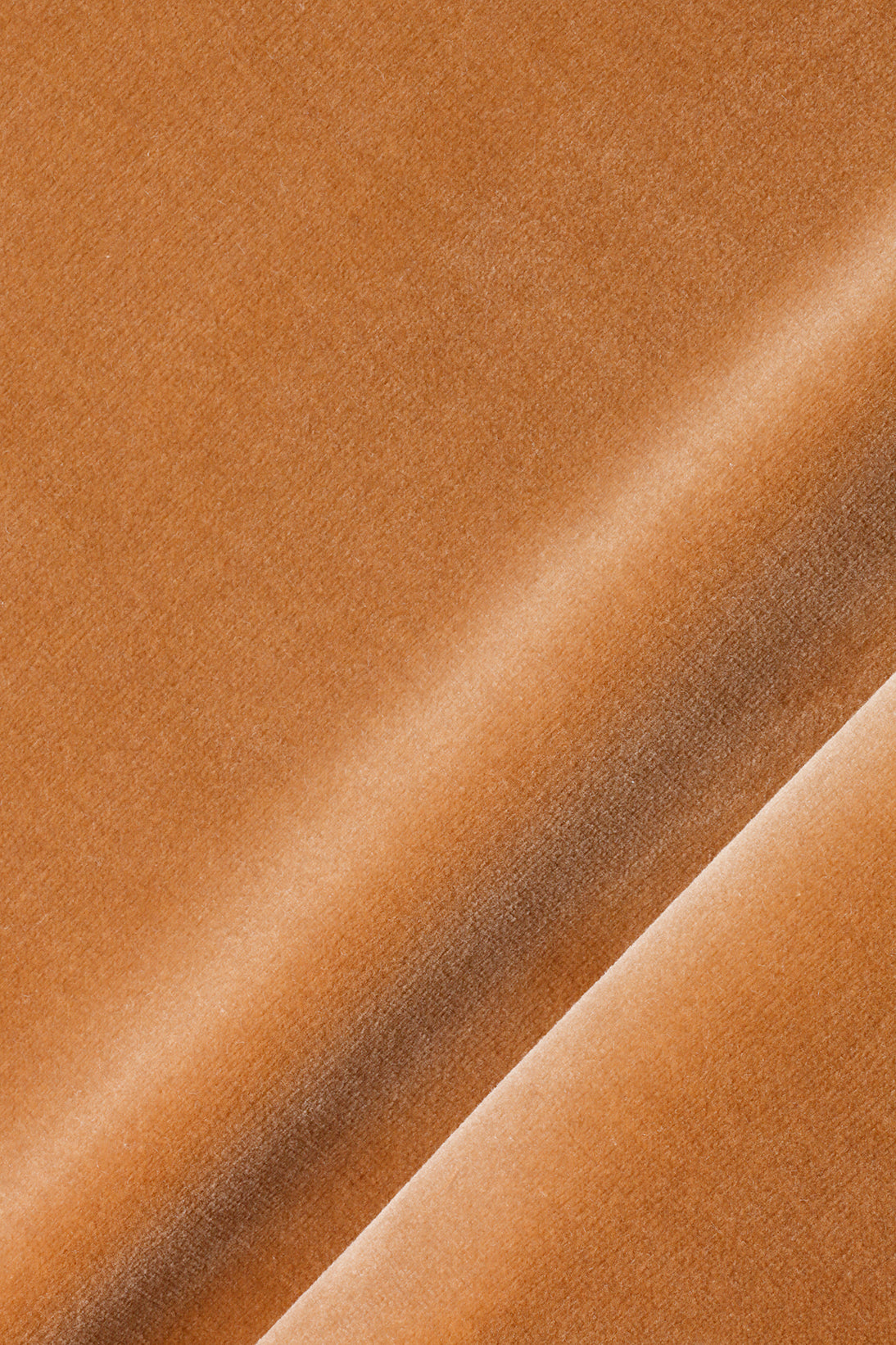 Cotton Velvet in Cobnut