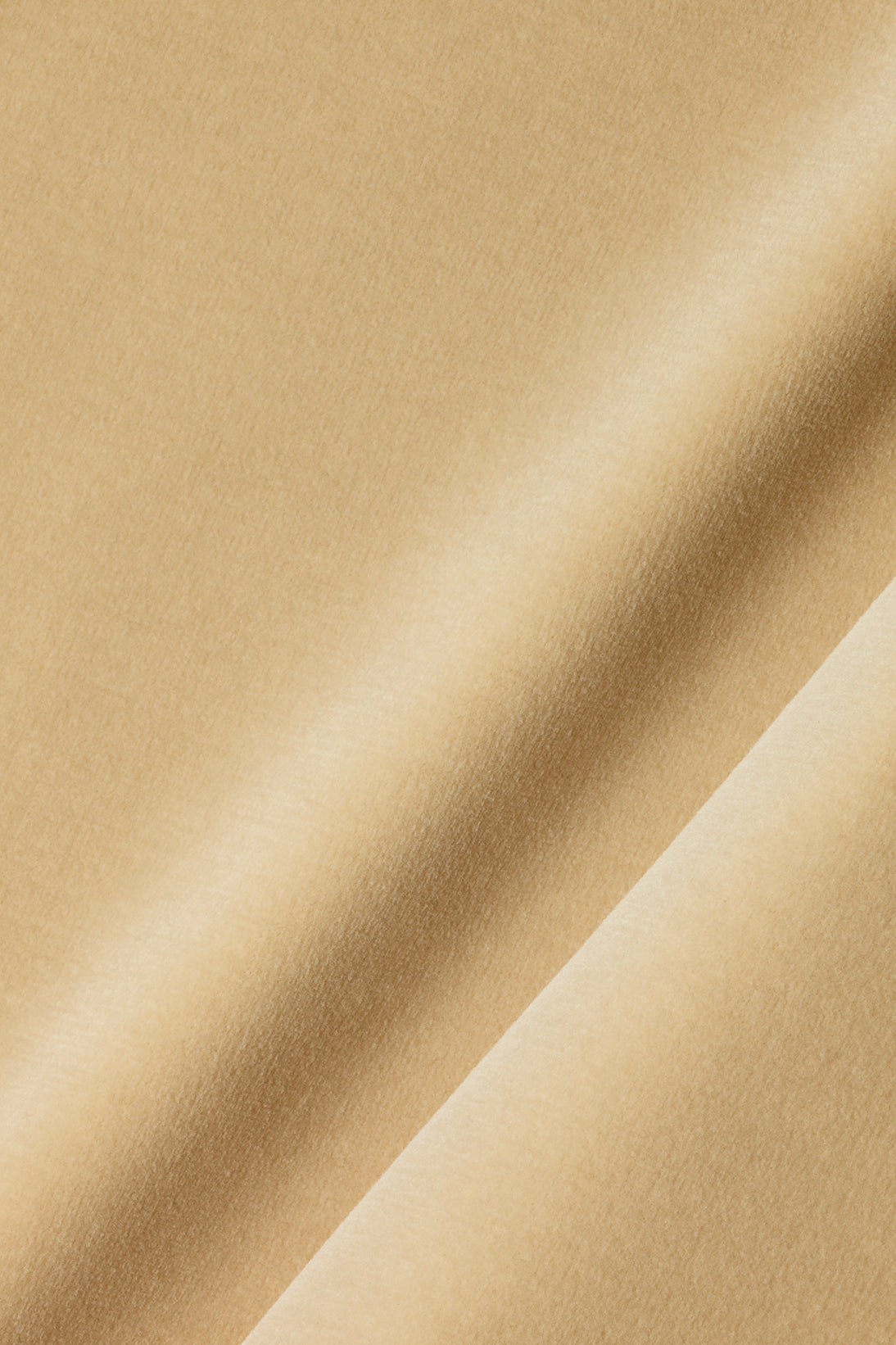 Cotton Velvet in Monkey Nut