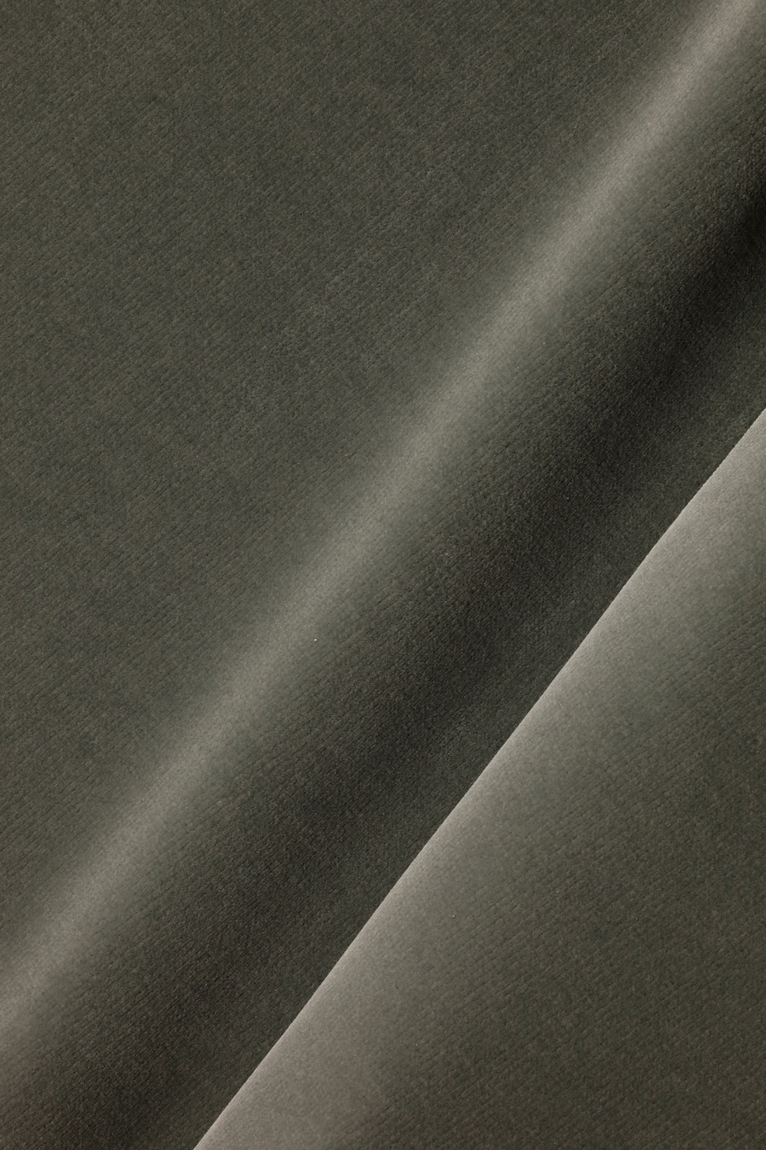 Cotton Velvet in Dolphin