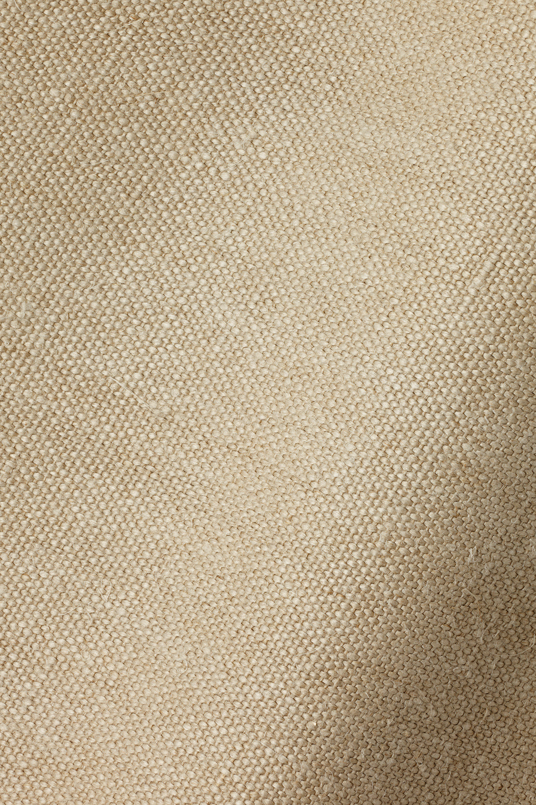 Hemp in Canvas