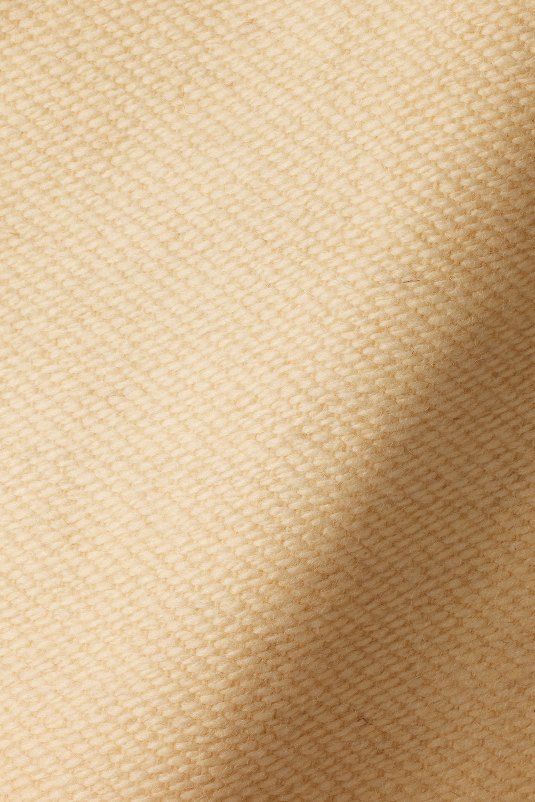 Textured Wool in Blizzard