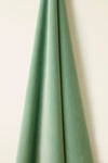 Heavy Weight Cotton Velvet in Aqua