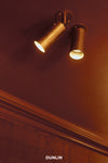 Spot Lighting on Gingerbread background at Dunlin Paddigton