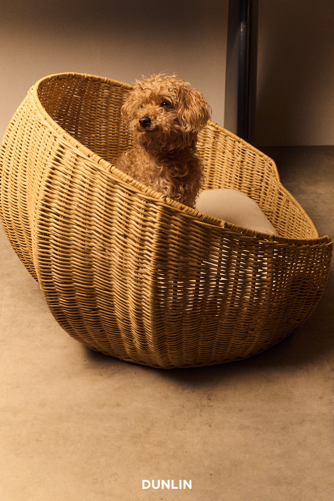 Rancher Cove Basket, Small by J'Jute