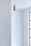 A modern cylindrical flush-mount ceiling light fixture in a brushed silver finish, mounted on a white ceiling in a minimalist room corner with a window frame visible on the right. The brand name 'DUNLIN' is printed at the bottom.
