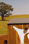 Davey Lighting Chelsea Outdoor Wall Light at Sun Ranch, Byron Bay, Australia