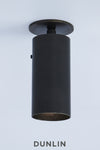 Dunlin Spruce Street brass ceiling Spot light